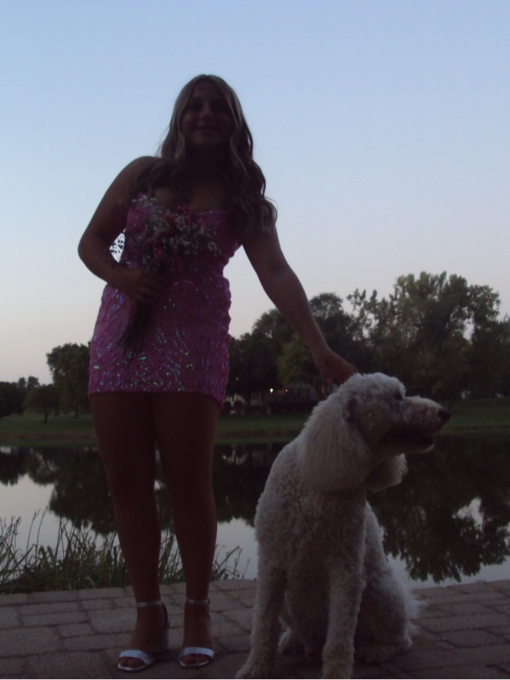 Pink sparkly Windsor dress - Picture 6 of 6